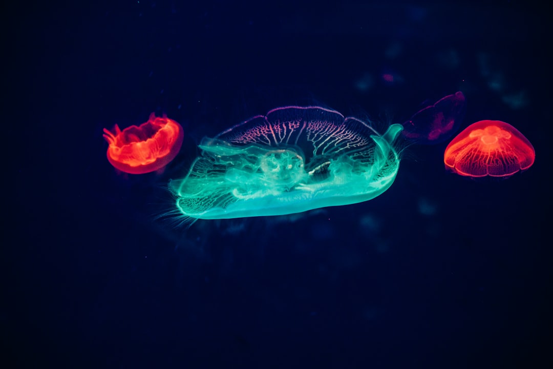 Pisces: The Primordial Ocean Depths (Image Credits: Unsplash)