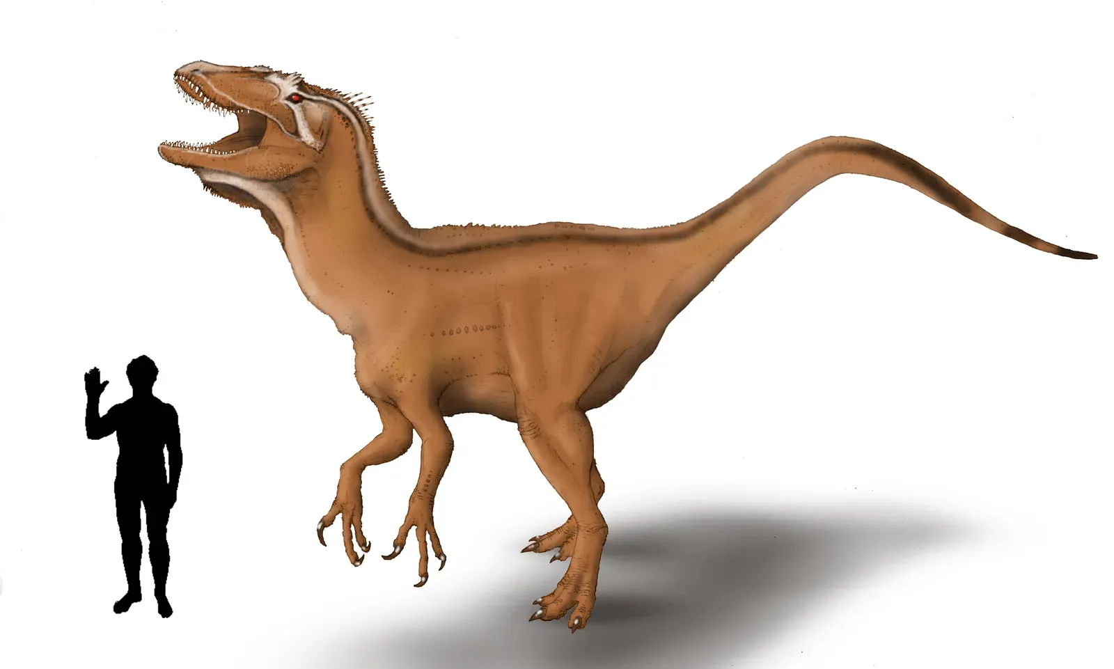 #9 - Bahariasaurus ingens: The Giant Predator That Vanished in the Same Fire (By ONo45, CC BY-SA 4.0)