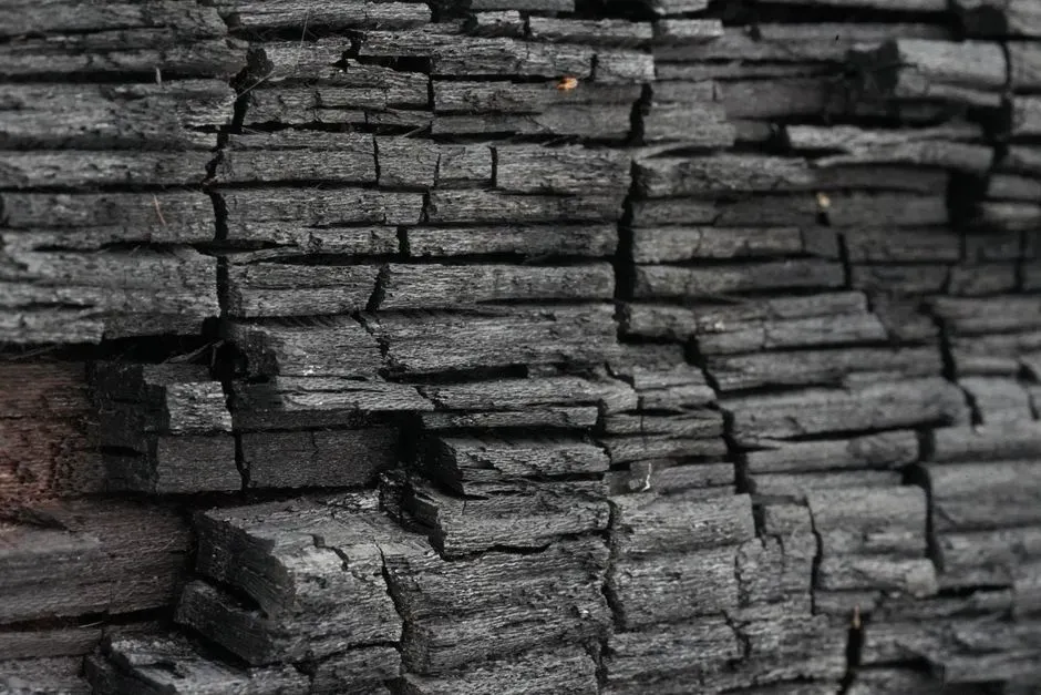 #4 Wooden Structures, Furniture and Tools Turned to Carbon (Image Credits: Pexels)