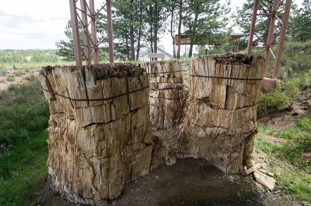 Florissant Fossil Beds, Colorado: Ancient Insects and Butterfly Discoveries (Image Credits: Flickr)