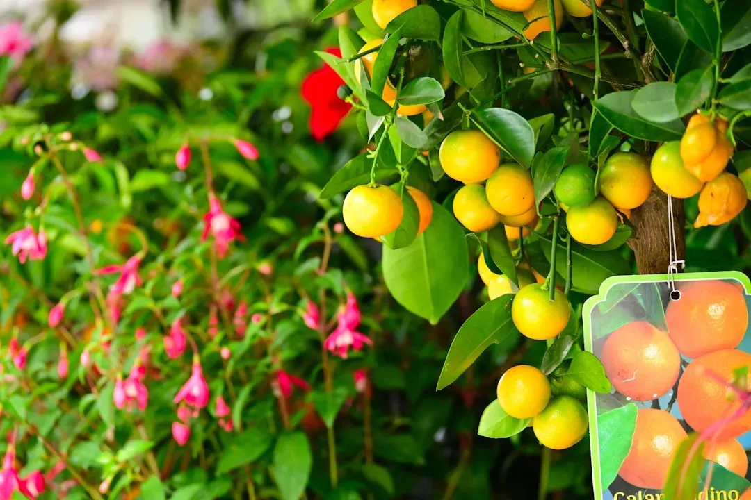 New Reproductive Strategies: Seeds, Fruits, and Speed (Image Credits: Unsplash)