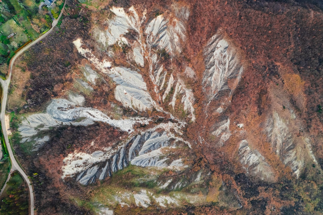Virgo Rising - The Detailed Fern Leaf (Image Credits: Unsplash)