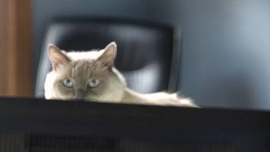 They Have Selective Memory (Image Credits: Flickr)