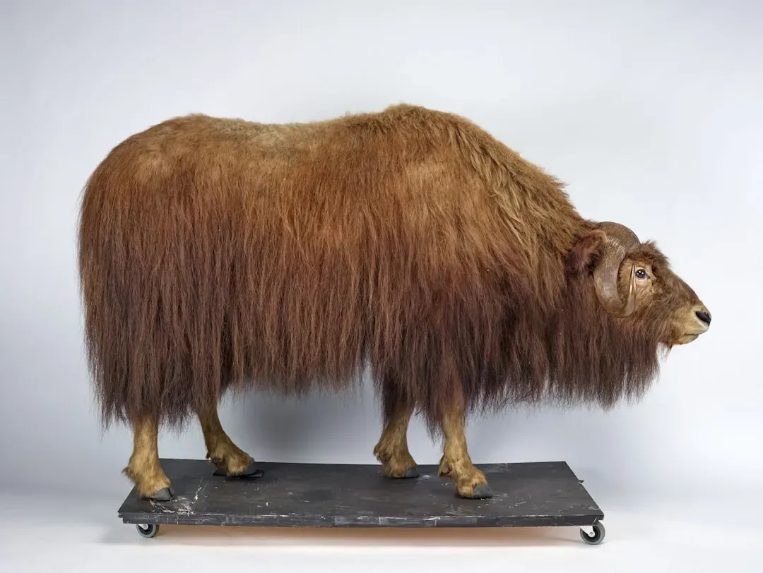 Physical Adaptations Created Ice Age Specialists (Image Credits: Unsplash)