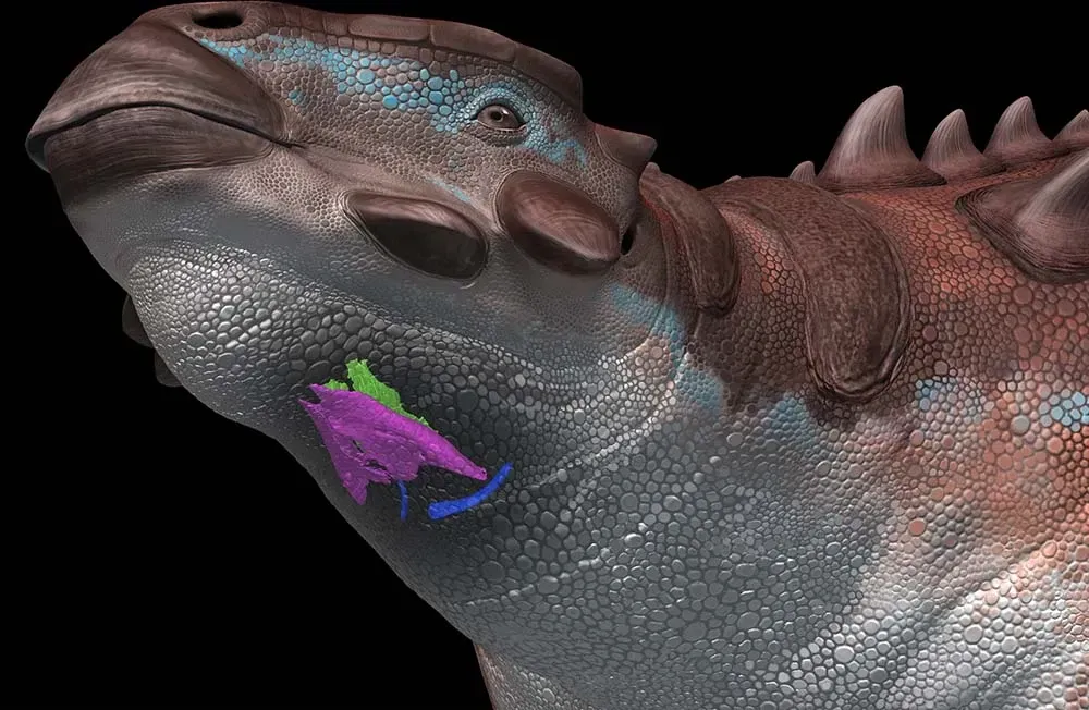Rare Fossilized Voice Boxes Reveal New Clues (Image Credits: Wikimedia)