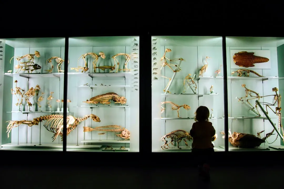 The Uncomfortable Truth Behind "80 Million Specimens" (Image Credits: Unsplash)