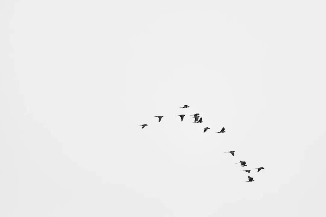#7 - The Star-Compass Certainty That Got Quietly Complicated (Image Credits: Unsplash)