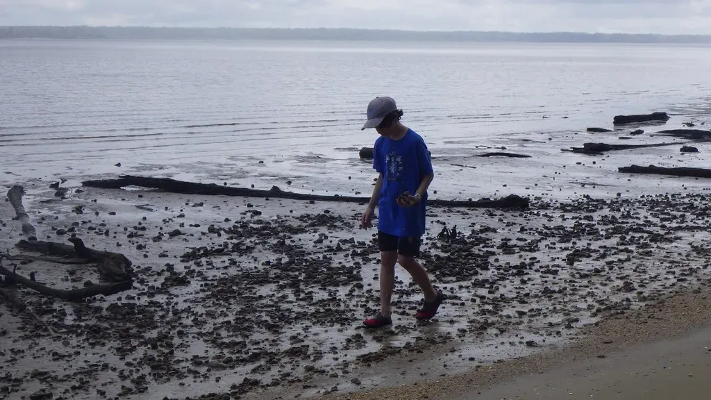 You Started Collecting Things as a Child and Never Really Stopped (Image Credits: Flickr)