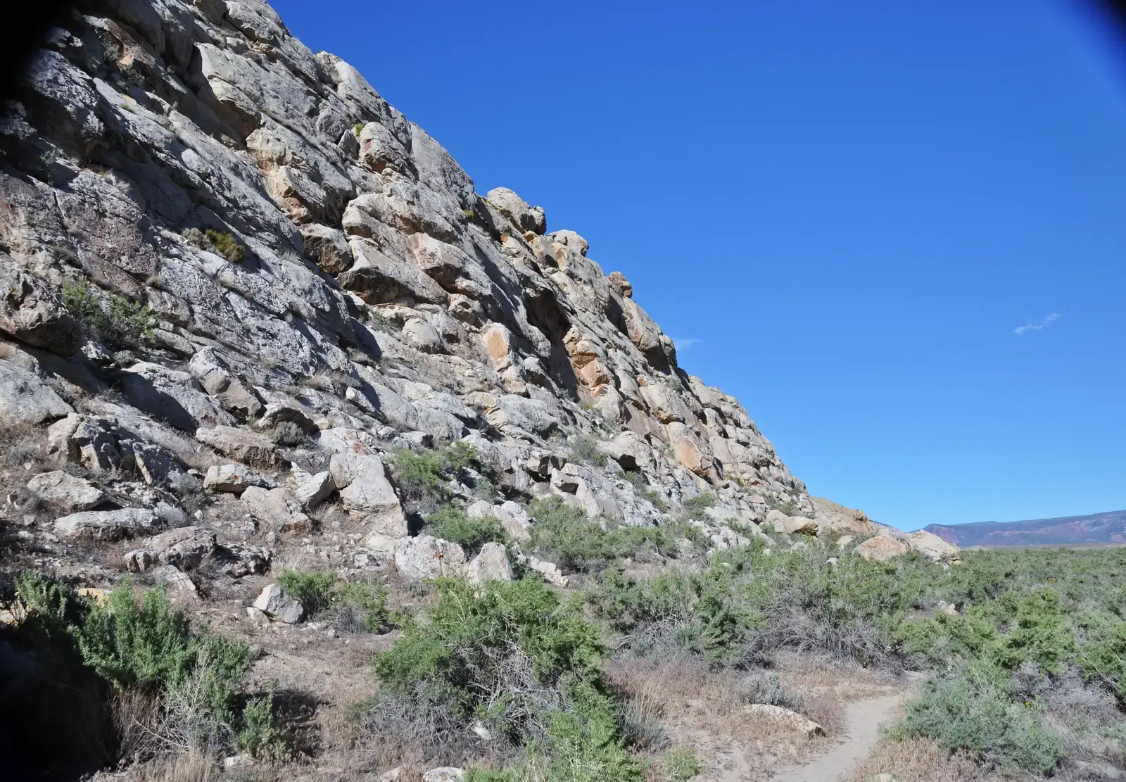 Location: Where a Dinosaur Died Mattered Enormously (Image Credits: Wikimedia)