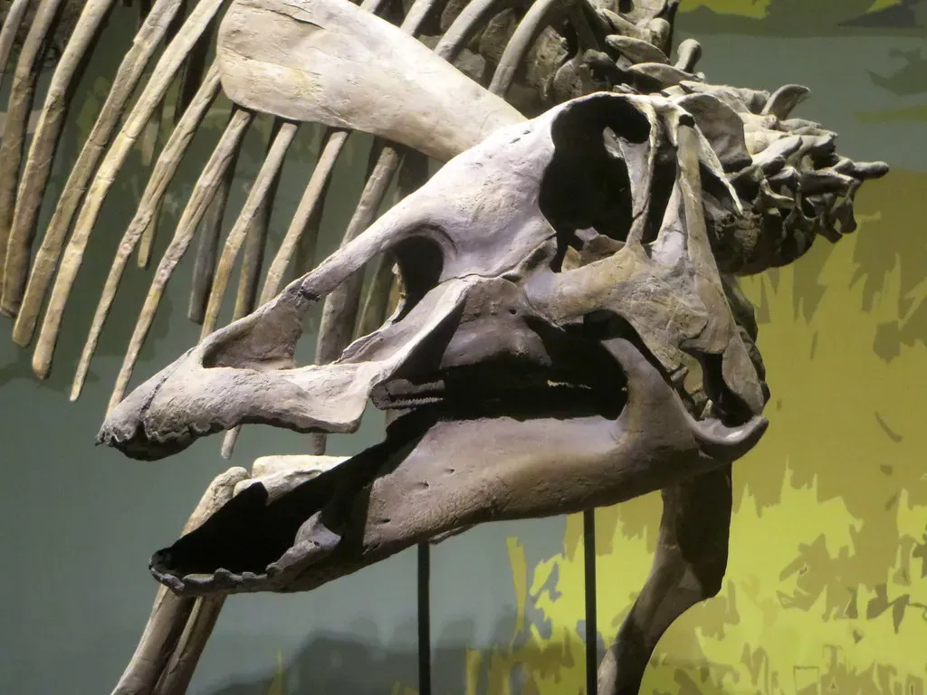 Conclusion: Rewriting the Dinosaur Playbook (edenpictures, Flickr, CC BY 2.0)