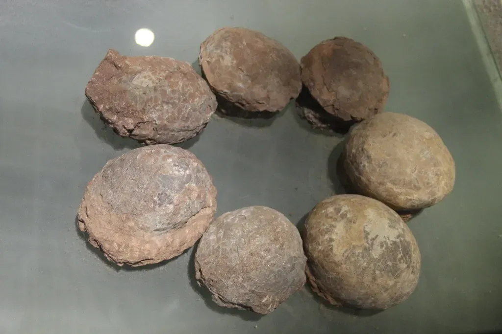 8. Some Dinosaur Eggs Preserved Color and Surface Texture (Image Credits: Flickr)