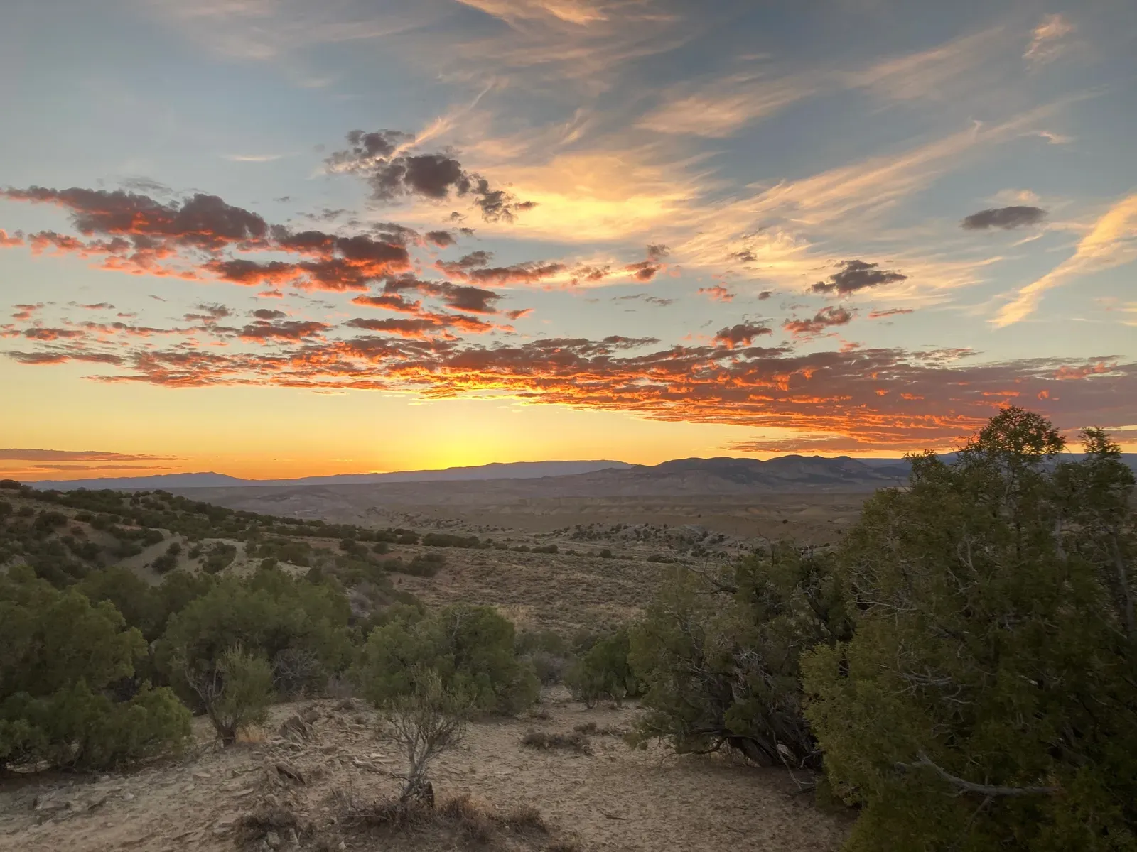 Life Under Shorter Days: Biological Rhythms on Fast‑Forward (Sunbloom over the Uintah Basin, Public domain)