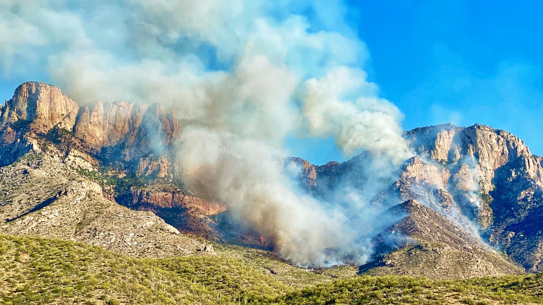 Conclusion (Image Credits: Unsplash)