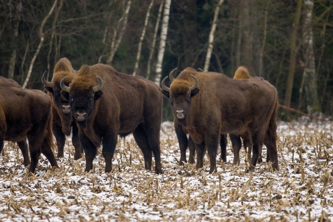 Protective Nature Toward Loved Ones (Image Credits: Unsplash)