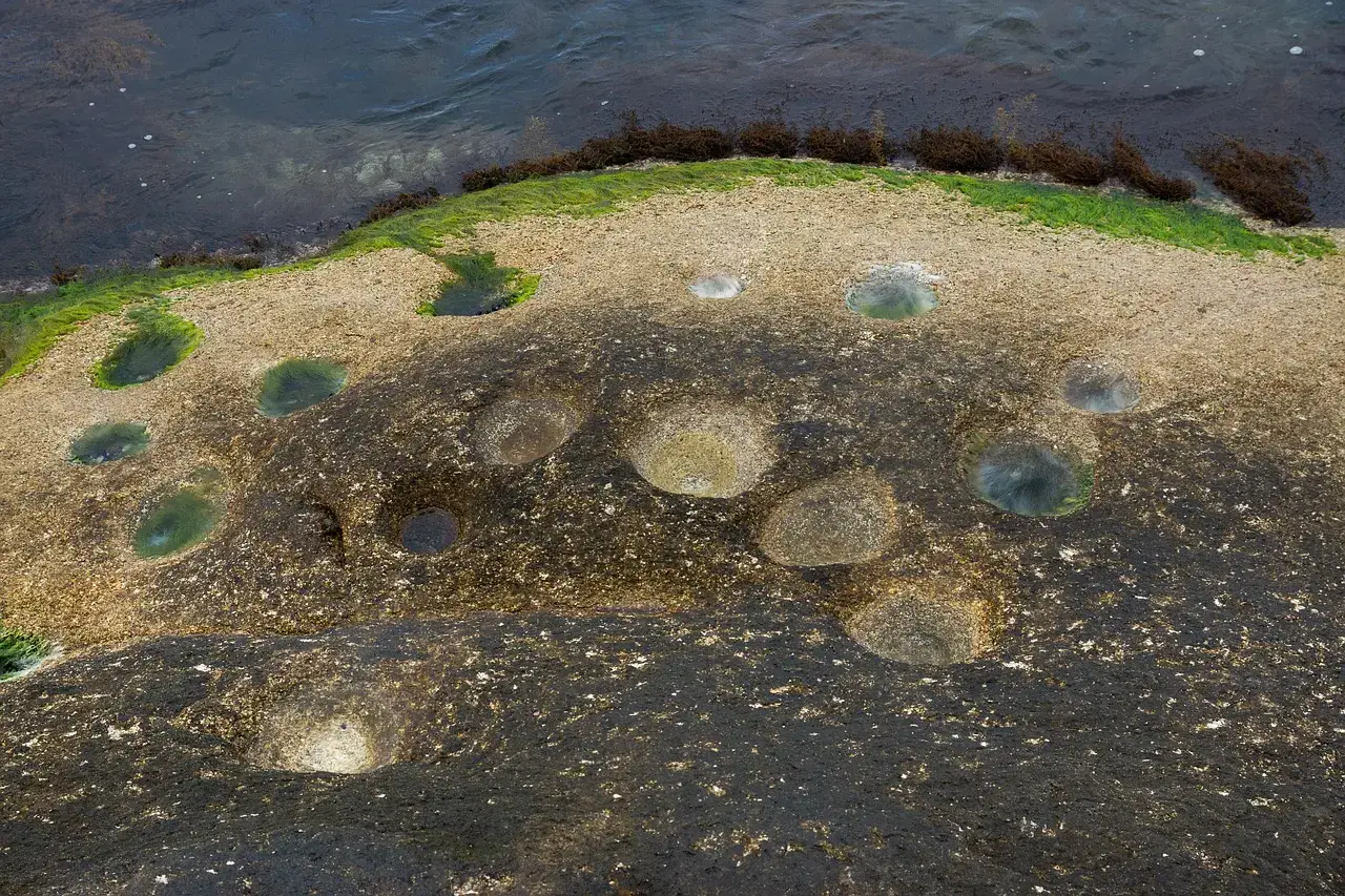 Coastal Mudflats: Where Tidal Muck Turned into Time Capsules (Image Credits: Pixabay)