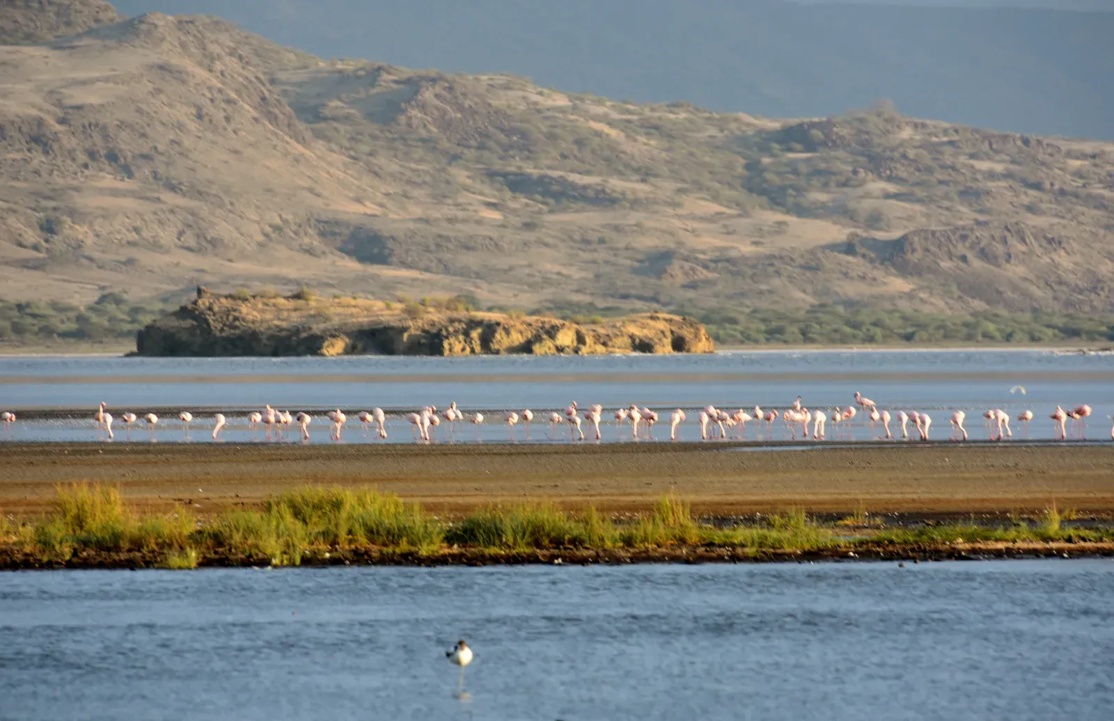 #17 - Lake Natron, Tanzania (Flamingos at Lake Natron (2), CC BY 2.0)