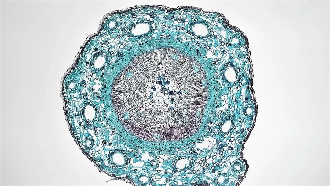 The Rise of Complex Cells: A Merger That Changed Everything (Image Credits: Unsplash)