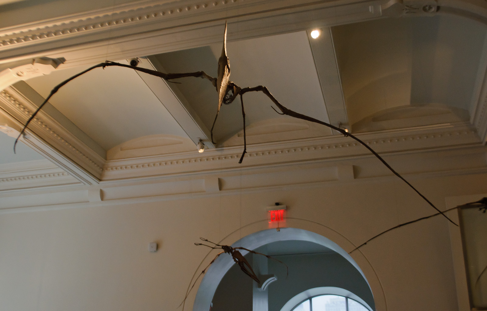Sagittarius Rising - The Soaring Pteranodon (Image Credits: Wikimedia)