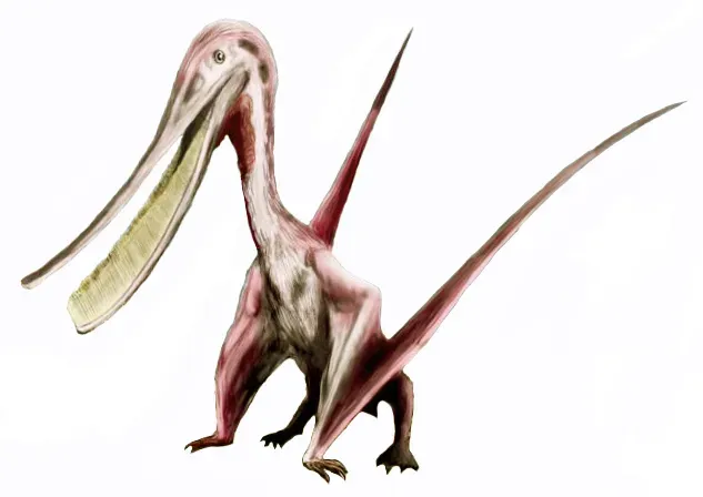 #11 - Pterodaustro, the Flamingo That Time Forgot (No machine-readable source provided. Own work assumed (based on copyright claims)., CC BY 2.5)