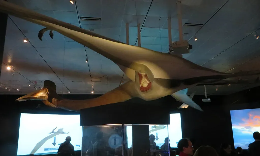 Quetzalcoatlus: The Giraffe-Sized Terror of the Skies (Image Credits: Flickr)