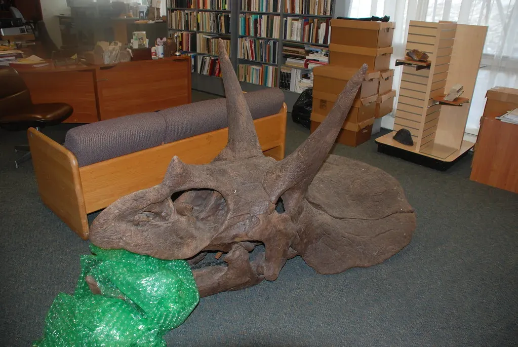 How Your Own Story Looks Different From This Angle (Farther Along, Flickr, CC BY 2.0)