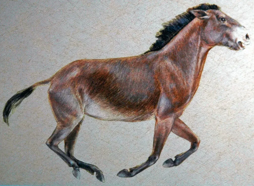 #10 - Ice Age Horses Already Called Your Town Home (James St. John, Flickr, CC BY 2.0)