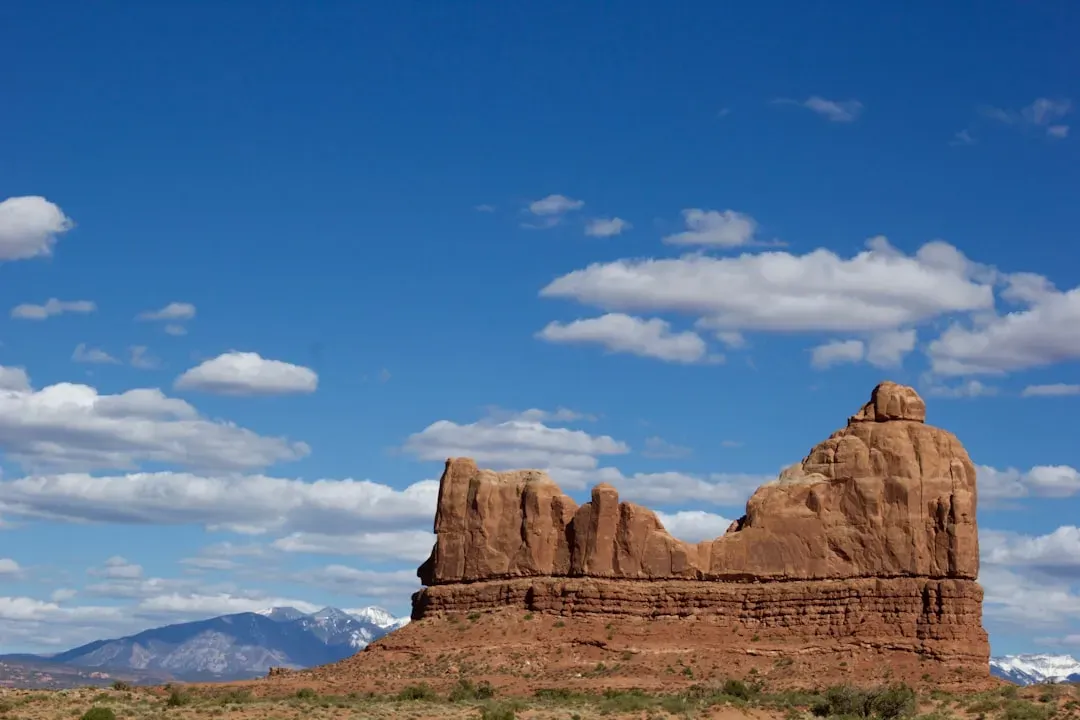 The Vanishing Acts: Why Did They All Leave? (Image Credits: Unsplash)