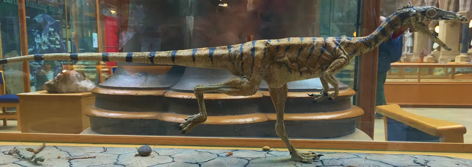 2. Compsognathus: The Tiny Dinosaur Once Mistaken for a Baby (Christian Michelides, CC BY-SA 4.0)