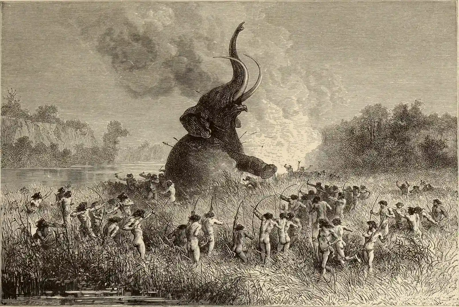 #18 - Large-Scale Cooperative Hunts Without Radios or Maps (By Bryant, William Cullen, 1794-1878;Gay, Sydney Howard, 1814-1888, No restrictions)