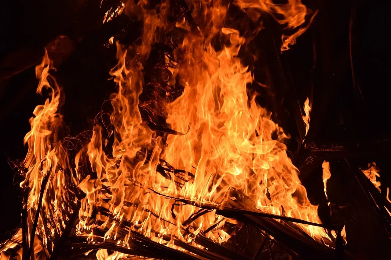 5. Fire’s Dangers Shaped Our Fear Circuits and Learning (Image Credits: Pixabay)