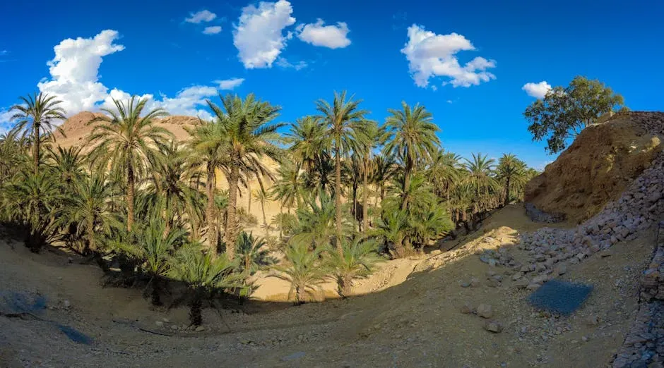 Desert Dune Seas and Oasis Valleys (Image Credits: Pexels)