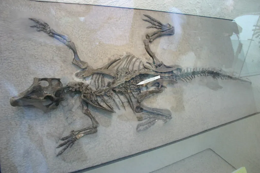 Gastroliths: The Dino Version of Internal Grindstones (Ryan Somma, Flickr, CC BY-SA 2.0)