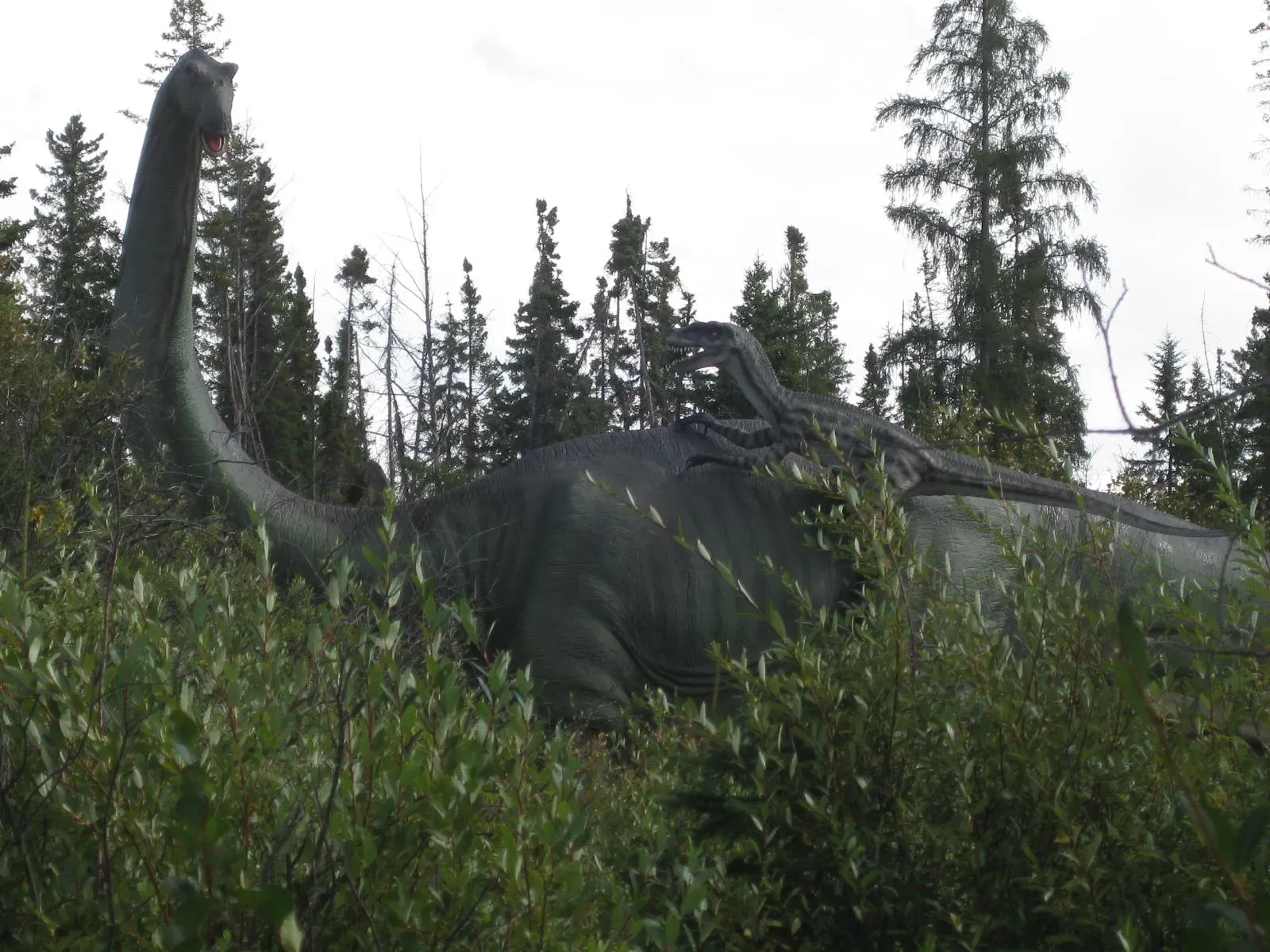 What These Ancient Giants Tell Us About Life's Possibilities (Image Credits: Wikimedia)