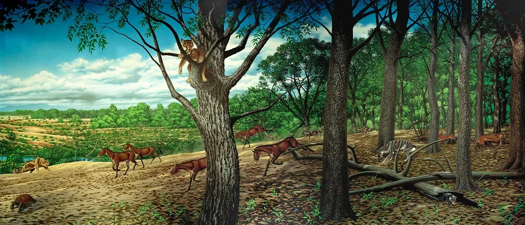 Do You Still Get Mammals – And Eventually Humans? (BLM Oregon & Washington, Flickr, CC BY 2.0)