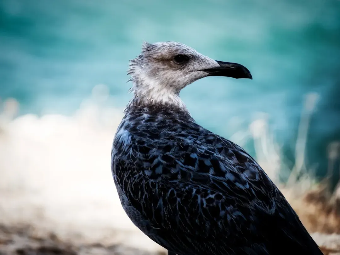 #1 - The Beak "Magnetic Sense Organ" That Turned Out to Be Immune Cells (Image Credits: Unsplash)
