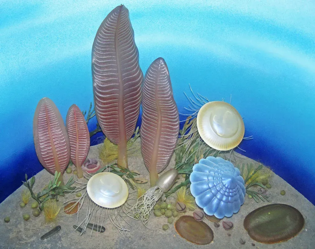 The Ediacaran World: Strange Creatures Before the Explosion (Image Credits: Flickr)