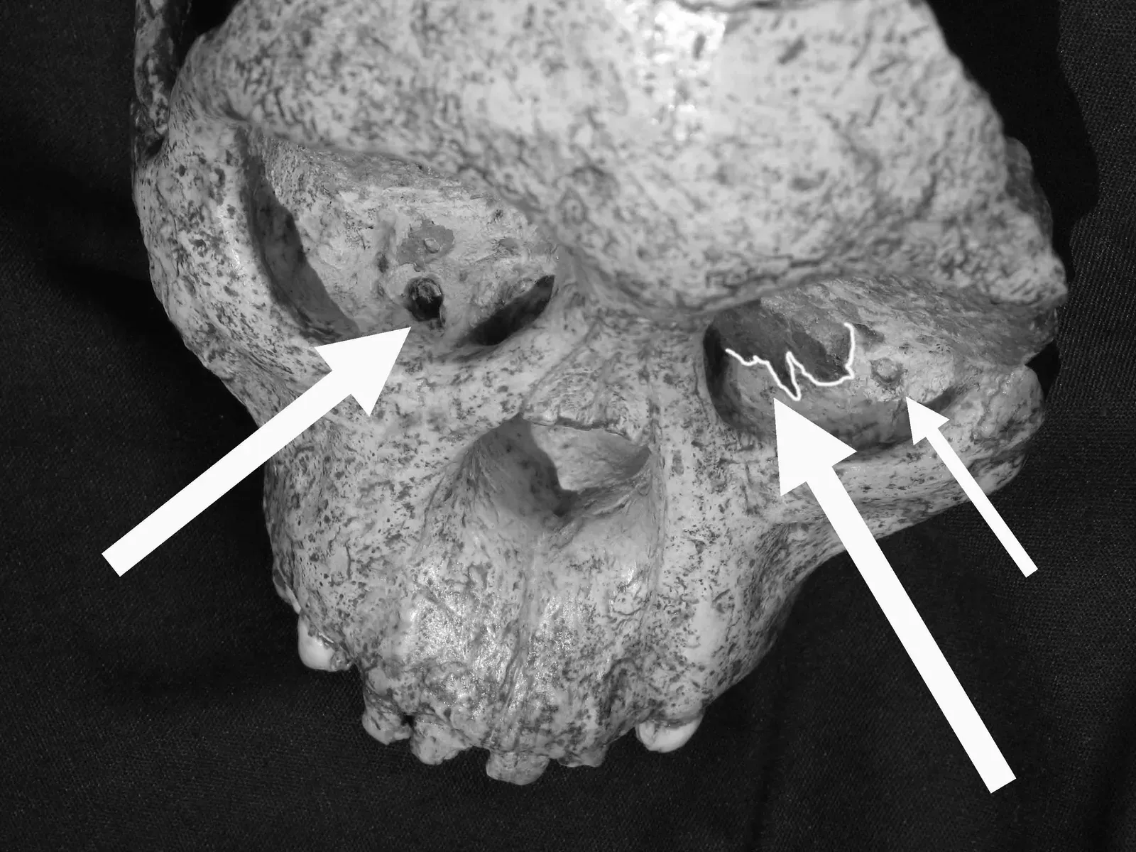#3 - The Real Discoveries That Got Buried Because They Didn't Match (Transferred from en.wikipedia to Commons., CC BY-SA 3.0)