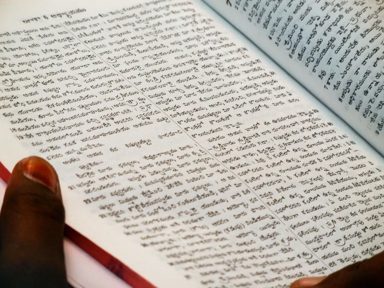 #5 Language, Translation, And The Power Of Words (Image Credits: Pixabay)