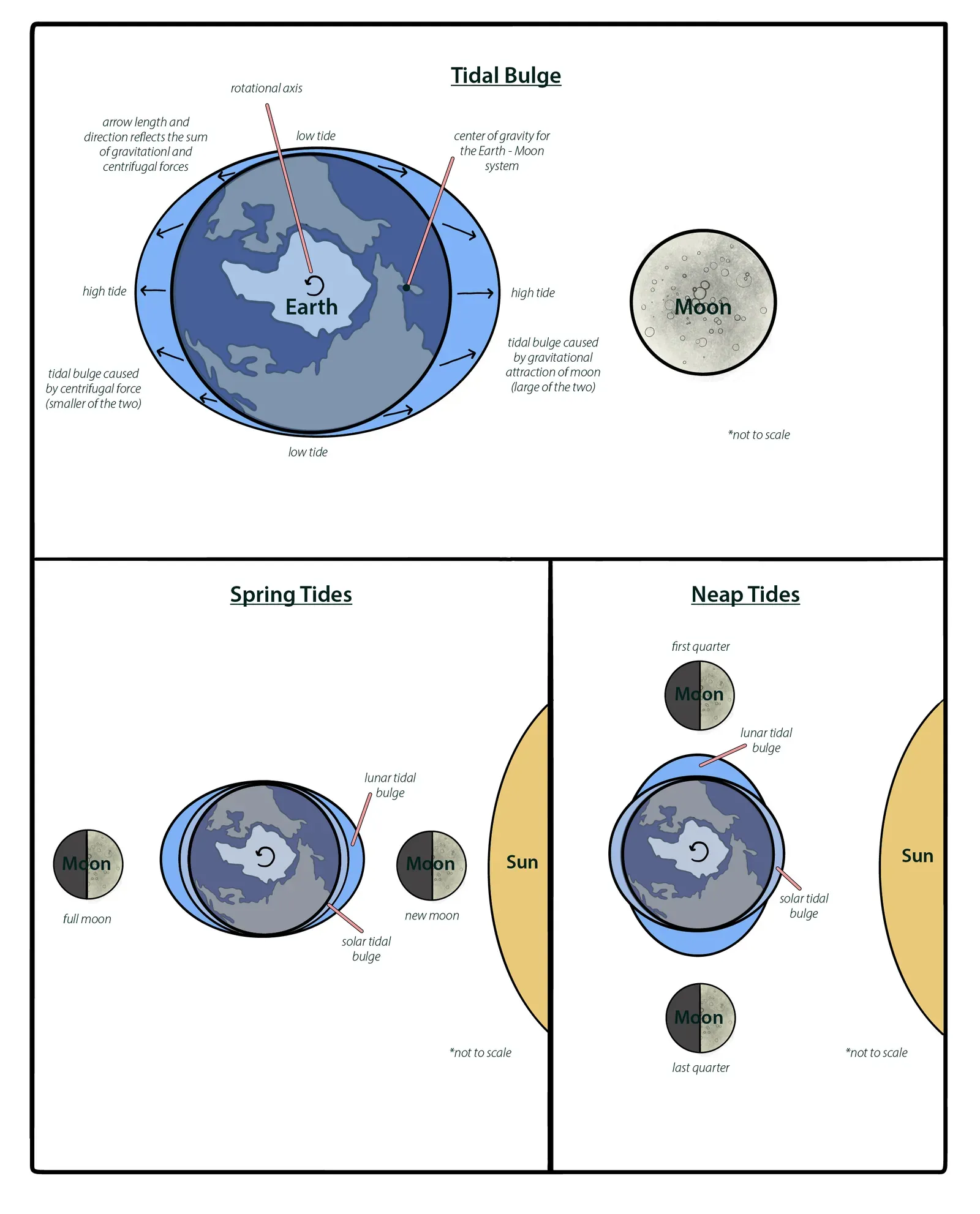 How The Moon Stretched Your Day And Changed Your Sense Of Time (By Page Quinton, CC BY-SA 4.0)