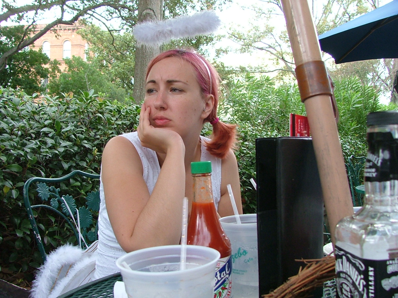 Gemini: Trapped in a Monotonous Routine (Image Credits: Wikimedia)