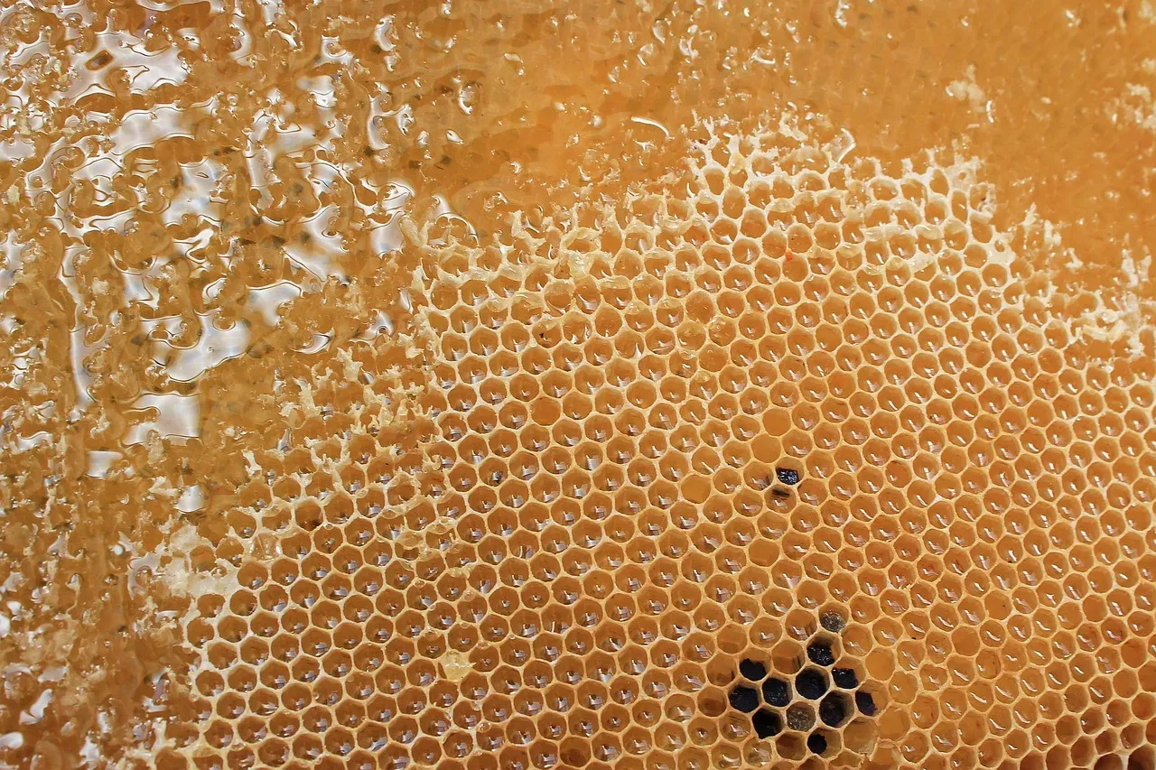 #14: Wild Honey, Toxins and All (Image Credits: Pixabay)