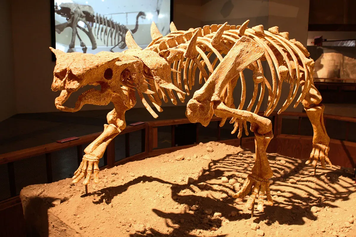 The Groundbreaking Fossil Discoveries That Changed Everything (Pinacosaurus - 01Uploaded by FunkMonk, CC BY 2.0)
