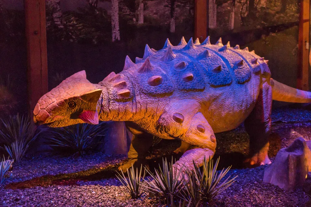 What These 3 Signs Share With the Ankylosaurus (-JvL-, Flickr, CC BY 2.0)