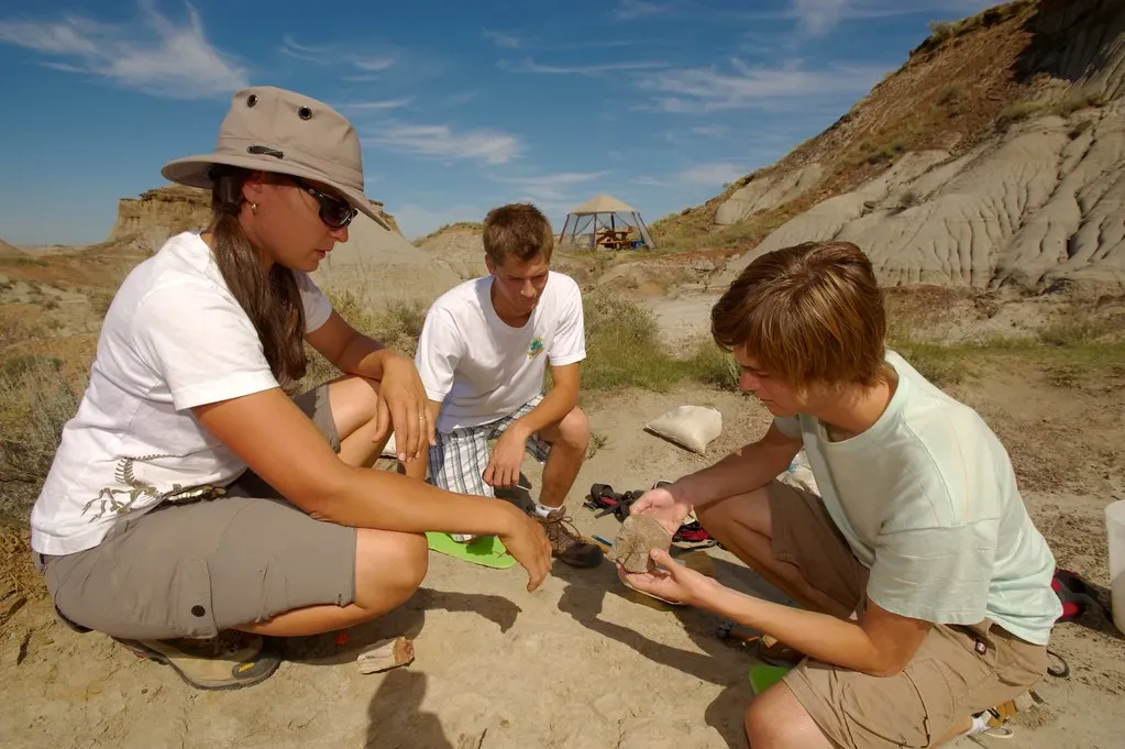 Transylvania's Hidden Bone Trap and What It Revealed (Image Credits: Flickr)