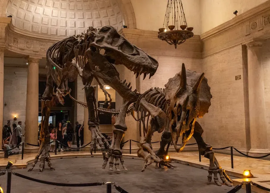 The Relationship With T. Rex Was More Complex Than You Think (Image Credits: Pexels)