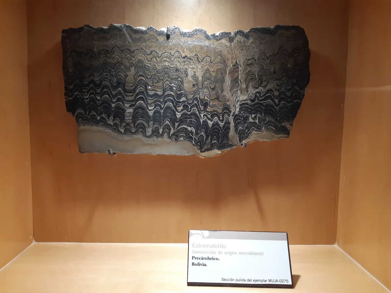 When the Earth Was Young and Life Was Smaller Than a Grain of Sand (By Pablo de otto, CC BY-SA 4.0)