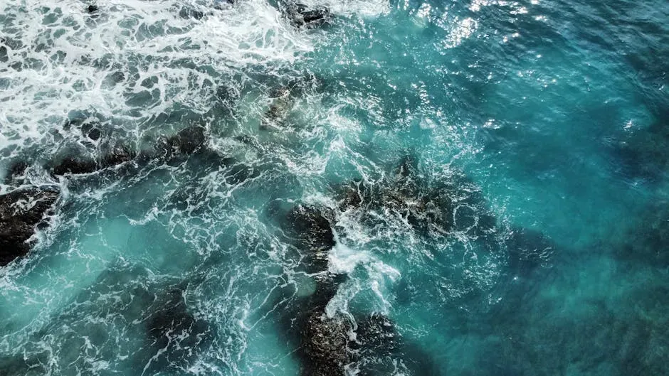 Nutrient Networks and the Chemistry of Ancient Oceans (Image Credits: Pexels)