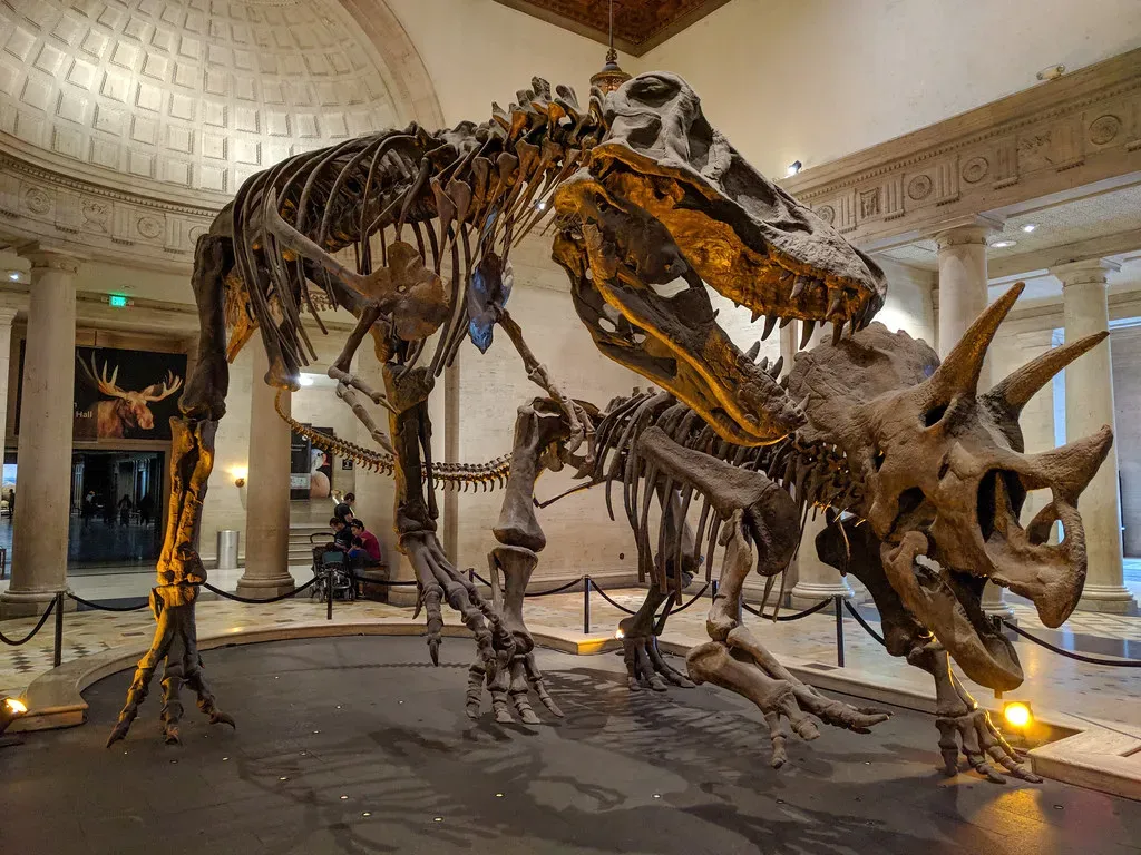 Natural History Museum of Los Angeles County, Los Angeles, California (RuggyBearLA, Flickr, CC BY 2.0)