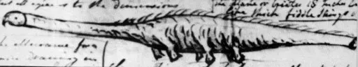 #1 - The Stronsay Beast That Got Its Own Scientific Name (By Sir Alexander Gibson, Public domain)