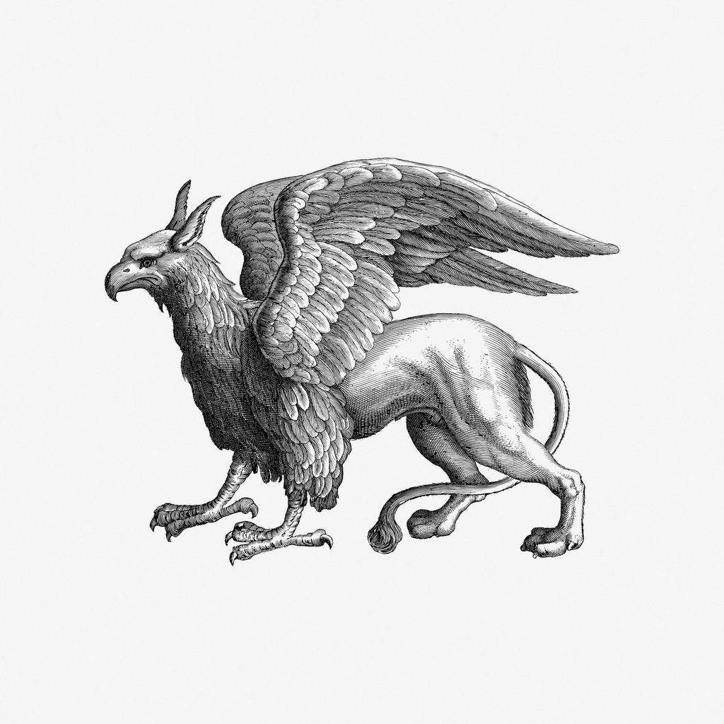 Capricorn: The Noble Griffin (Image Credits: Rawpixel)
